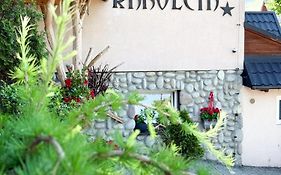 Willa Karolcia Zakopane -Basen Jacuzzi